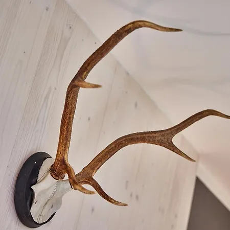 Alpinlife Appartement Bad Kohlgrub